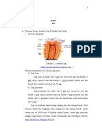 Kurnia Lapsus Dental 20