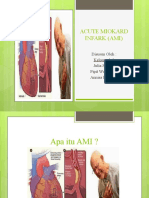 Acute Miokard Infark (Ami)