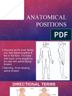 Anatomical Positions