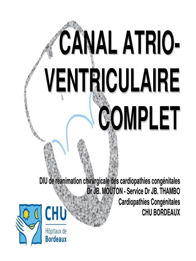 Traité d'anatomie humaine . et à 40 chez les Papous qui ont les cheveux  crépus. Nous plaçons ici sous les yeuxdu lecteur une série de douze types  de cheveux observés par Pru.nek-Bey., image size:768x1024