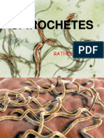 Spirochetes: Ratheesh R.L