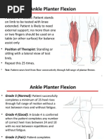 Ankle Planter Flexion: Test: Patient Raises Heel From Floor Consecutively Through Full Range of Plantar Flexion