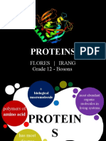 Proteins: Flores - Irang Grade 12 - Bosons