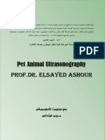 Pet Animal Ultrasonography DR Elsayed Ashour