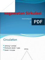 Kegawatdaruratan Sirkulasi