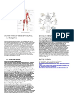 Anatomi Otot Dan Gerak Sendi Manusia