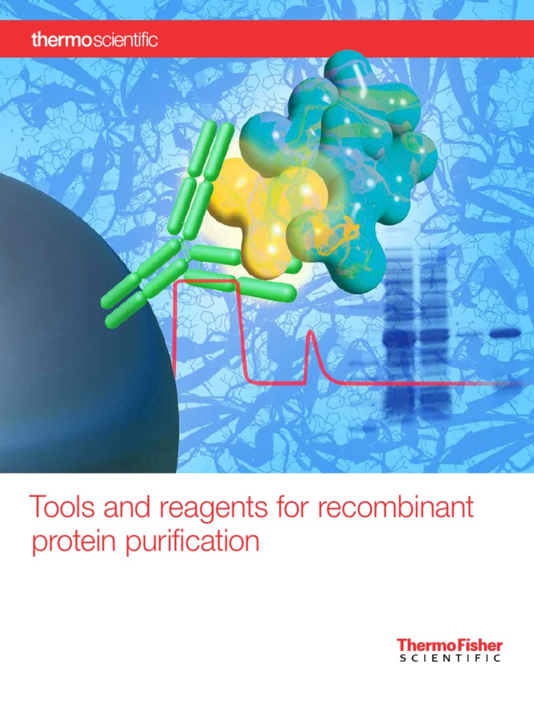 Tools Reagents Recombinant Protein Purification Brochure | PDF ...