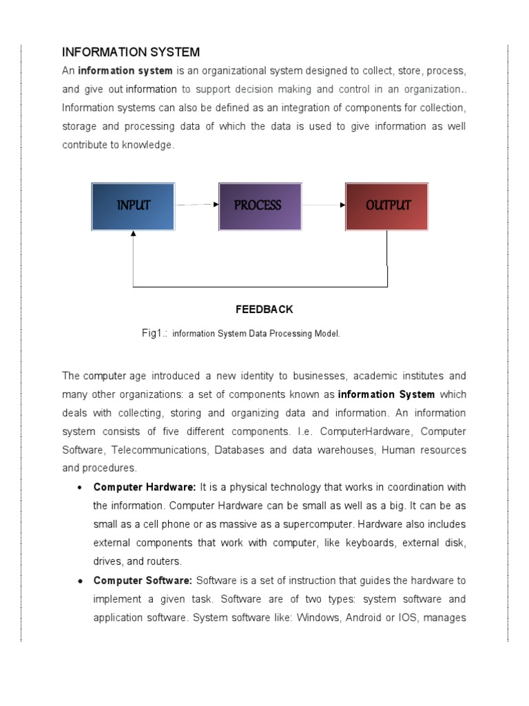 Input Process Output: Information System | PDF | Computer Hardware ...
