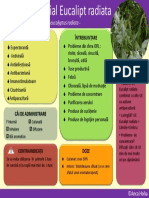 Ulei esențial Eucalipt radiata (1)