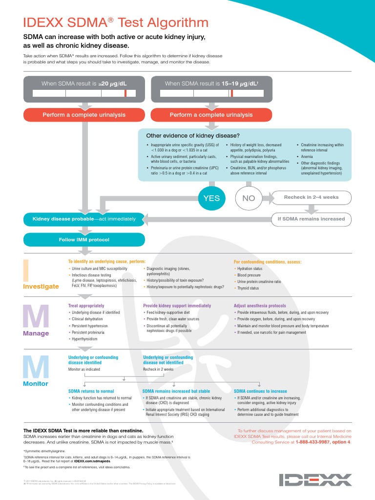 Làm Gì Khi SDMA Tăng | PDF | Chronic Kidney Disease | Creatinine