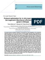 Protocol Optimization For in Vitro Mass Propagation of Two Sugarcane (Saccharum Officinarum L.) Clones Grown in Ethiopia