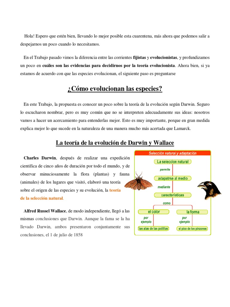 Teoría de la Selección Natural de Darwin | PDF | Seleccion natural ...
