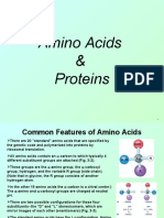 Amino Acids & Proteins