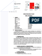 PDF Pericia Psicologica de Perfil Psicosexual DD