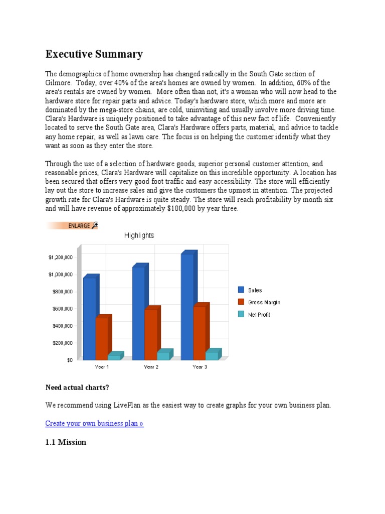Business Plan Hardware PDF Balance Sheet Value Added Tax