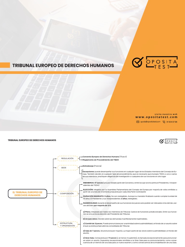 Esquema Del Tribunal Europeo de Derechos Humanos | PDF | Política | Ley