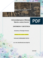 Equi. 3 Anatomia de La Columna Vertebral