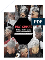 PDF Grises