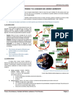 ECOSISTEMAS-Y-EL-CUIDADO-DEL-MEDIO-AMBIENTE-largo-comprimido