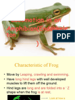 Locomotion in an Amphibian