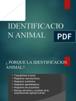 identificacion_animal