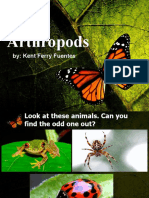 Arthropods