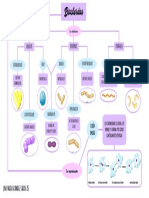 Objeto Previo Microbiologia