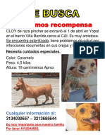 Se Busca Cloy