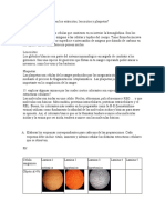 INFORME BIOLOGIA