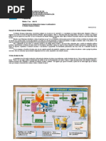 OS ESTADOS NACIONAIS   AULA 01