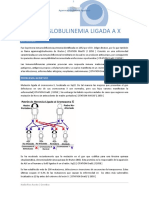 Agamaglobulinemia Ligada A X