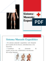 Sistema-Muscular-Esqueletico