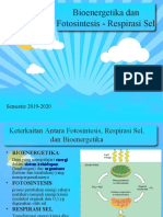 4 - Bioenergetika 2020