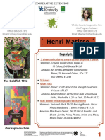 Henri Matisse PDF