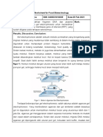 Worksheet biotek Verifying Plasmid