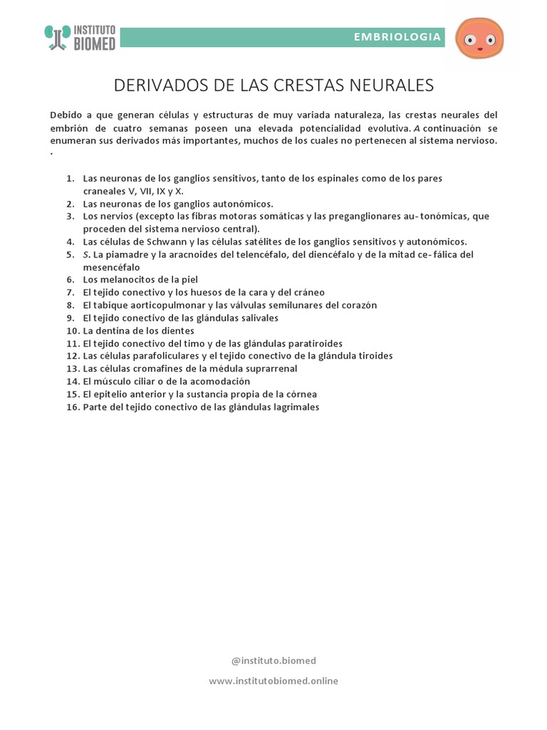 Derivados de las Crestas Neurales | PDF