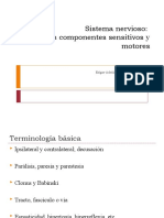 Sistemas sensitivos y motores parte 1