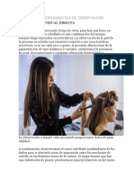 Observación y diagnostico en cabellos