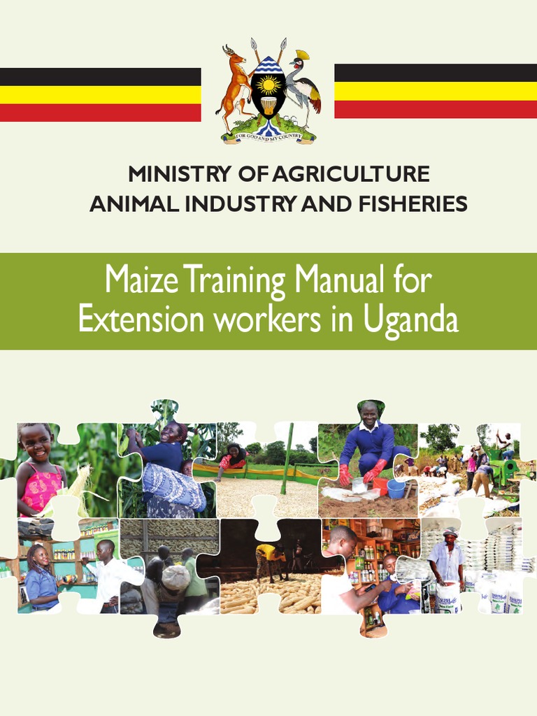 Maize Training Manual For Extension Workers in Uganda PDF Tillage