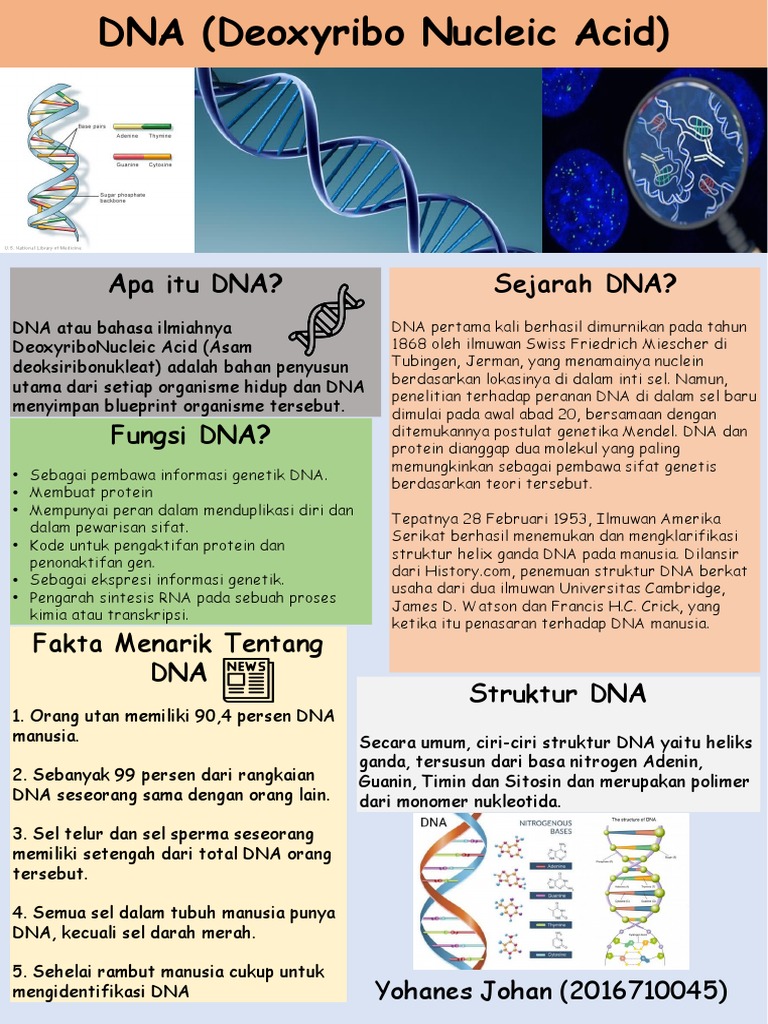 Draft Poster Dna Yohanes Johan Pdf