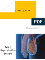 Reproduction System: 27 Agustus 2019