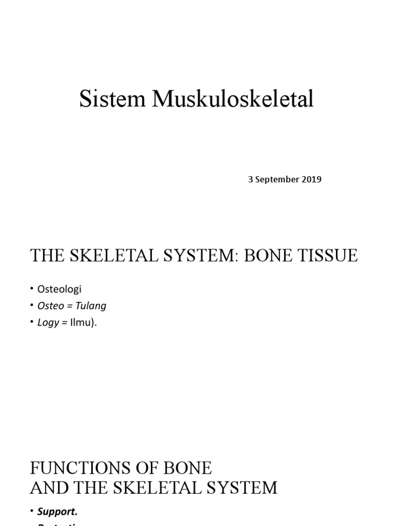 Overview of Skeletal and Muscular Systems | PDF | Bone | Muscle Contraction