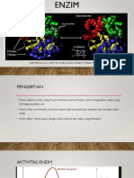 Materi Enzim