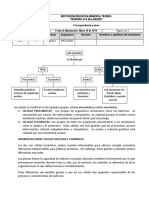 3 - Tipos y Clases de Celulas