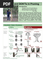Pictorial Guide For Tree Maintenance | PDF | Pruning | Trees