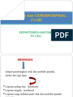 Meninges Dan CSF