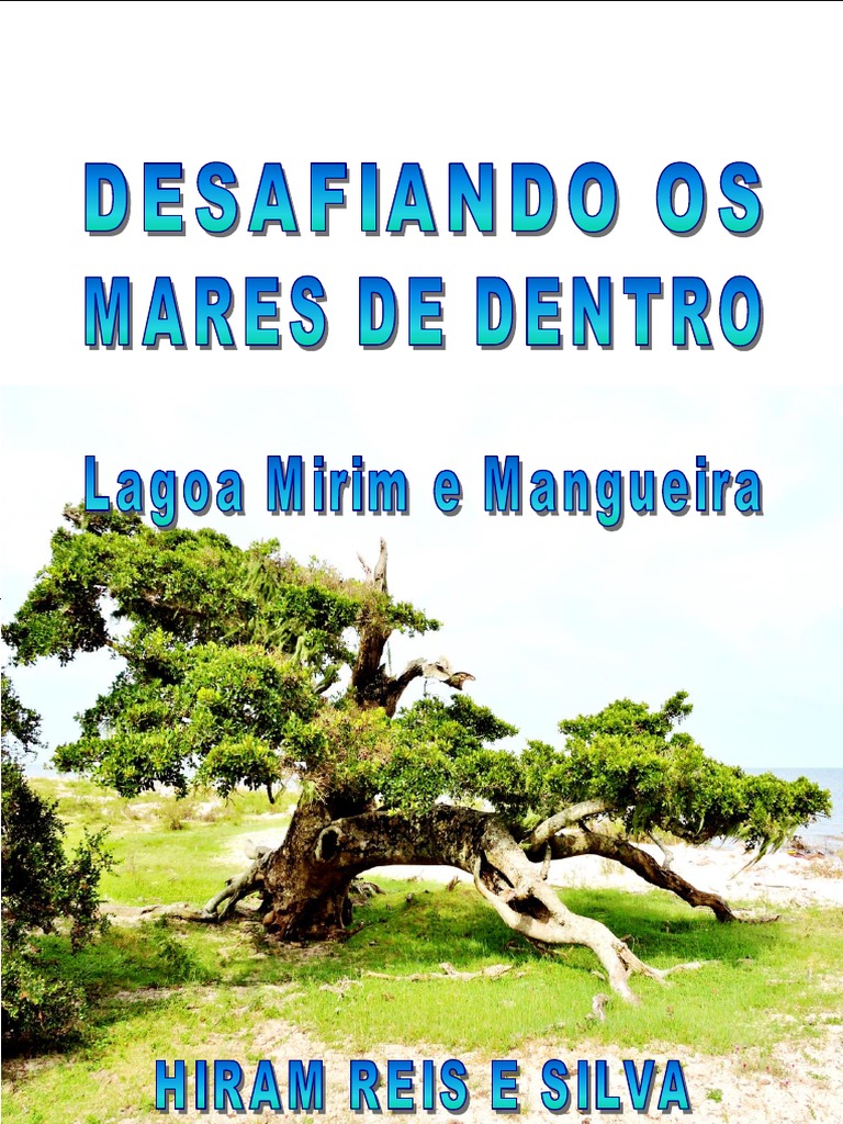 Rei das Casas - Desde 1999 - Casas de Madeira e Alvenaria - Caminho do  Meio, Viamão, Porto Alegre, Alvorada, Aguas Claras e região