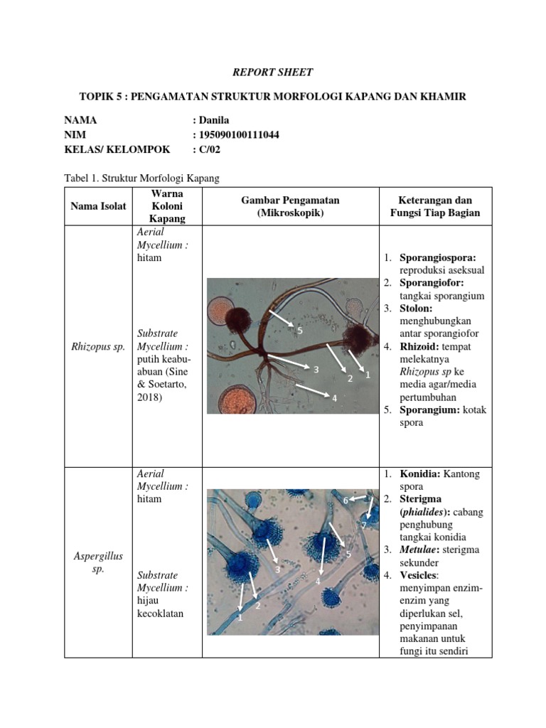 Katta dicks kamming bilan trannies kompilyatsiya