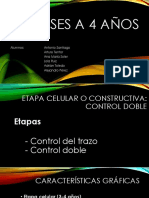 Etapa Celular o Constructiva