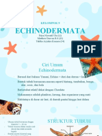 Echinodermata Kel 9